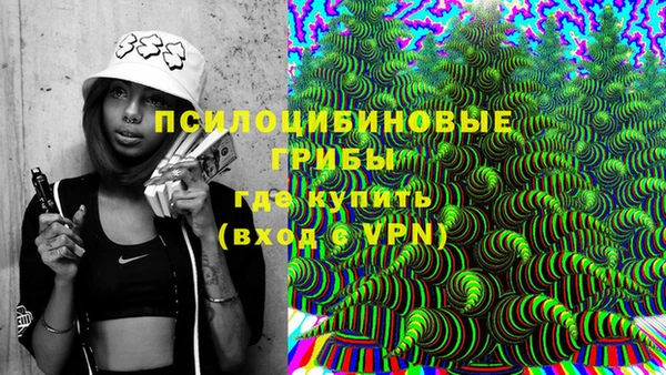 гашик Лагань